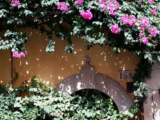 Image showing Quaint street in Rome