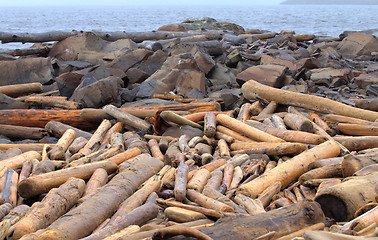 Image showing the ruined wood on ocean coasts