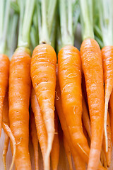 Image showing Baby carrot