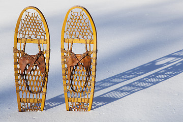 Image showing Bear Paw snowshoes