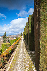 Image showing Gardens in Granada in winter