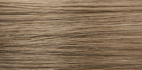 Image showing Human hair 