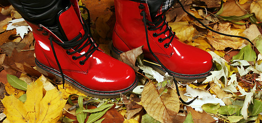 Image showing Red boots 