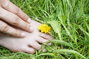 Image showing Barefoot 