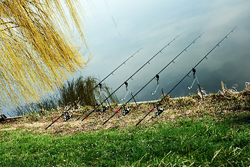 Image showing Fishing