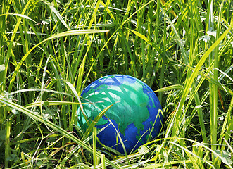 Image showing Globe in the grass