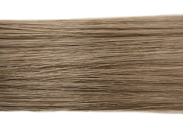 Image showing Human hair 