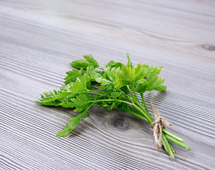 Image showing Bunch of parsley 