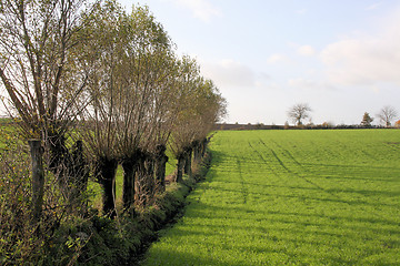 Image showing autumn fields