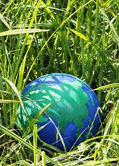 Image showing Globe in the grass