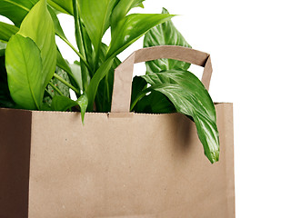 Image showing Eco bag 