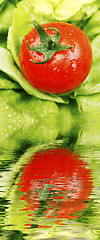 Image showing Tomatoe and lettuce