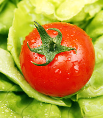 Image showing Tomatoe and lettuce