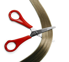 Image showing Hair and scissors