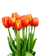 Image showing Arrangement with fresh tulips 