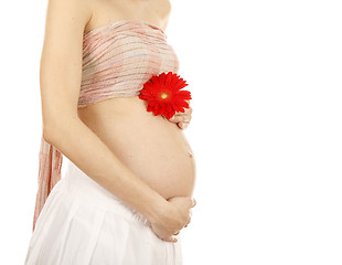 Image showing Pregnant woman 