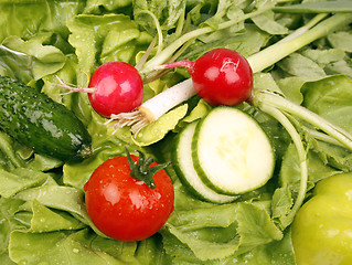 Image showing Salad ingredients