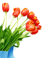 Image showing Fresh tulips in boots