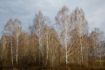 Image showing Rural landscape.