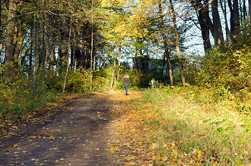 Image showing blond woman walk autumn park forest road hill 