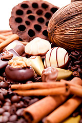 Image showing collection of different chocolate pralines truffels 