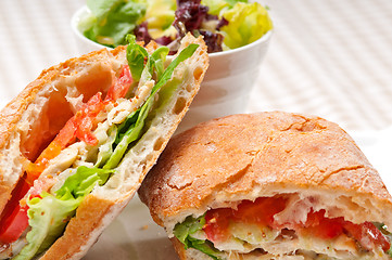 Image showing ciabatta panini sandwich with chicken and tomato