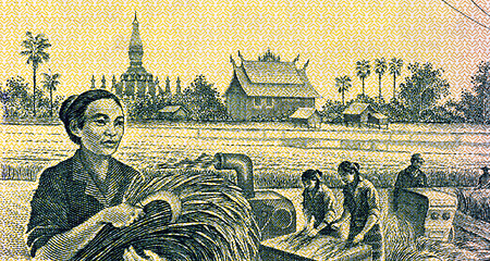 Image showing Grain Harvesting