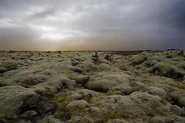 Image showing Rural and green