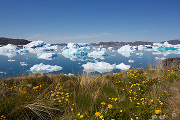 Image showing Narsaq