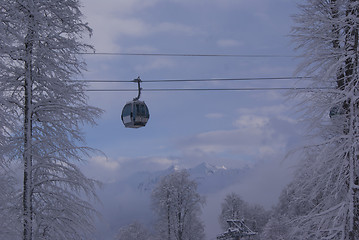 Image showing A ropeway over the trees