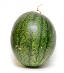 Image showing watermelon