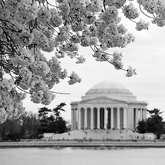 Image showing Historic Jefferson Memorial