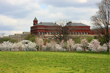 Image showing Smithsonian Institute