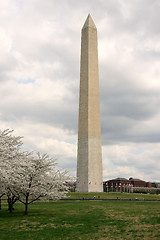 Image showing Washington Memorial