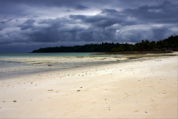 Image showing isle and rock in indian ocean 