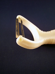 Image showing cucumber peeler