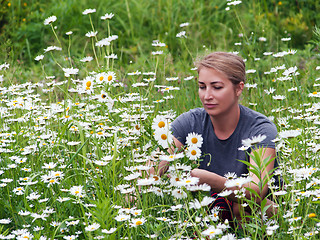 Image showing beautiful young woman sitting on a flowering meadow with daisies