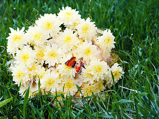Image showing bouquet from yellow asters with butterfly on green grass