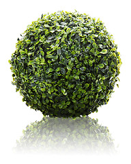 Image showing Green sphere from artificial grass with reflection isolated on w