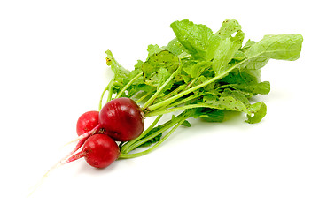 Image showing  radishes