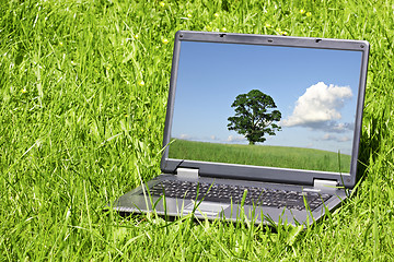 Image showing Landscape  on laptop screen