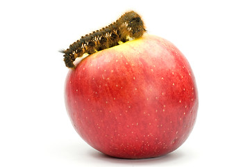 Image showing caterpillar on top of a red apple