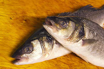 Image showing fish heads