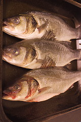 Image showing three sea bass