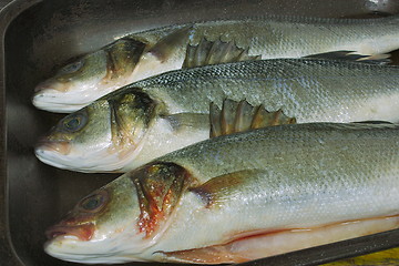 Image showing prepared sea bass