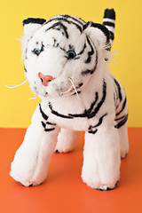 Image showing white tiger