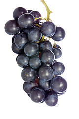 Image showing bunch of blue grape isolated on white