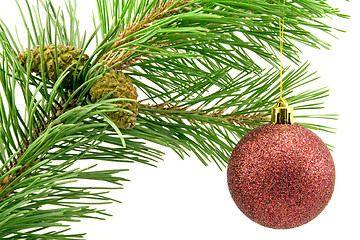 Image showing branch with red bauble over white