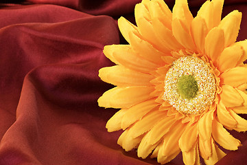 Image showing flower on red material background