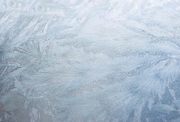 Image showing jack frost